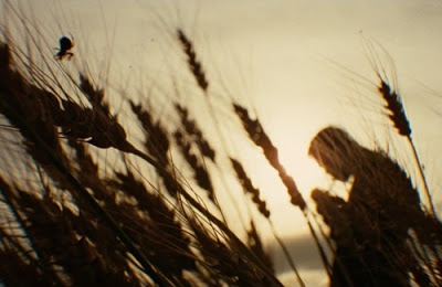 jesse-james-brad-pitt