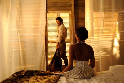 palmeras-en-la-nieve