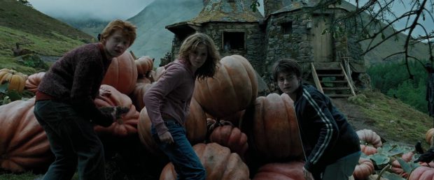 harry-potter-and-the-prisoner-of-azkaban-ronald-weasley-17166143-1920-800